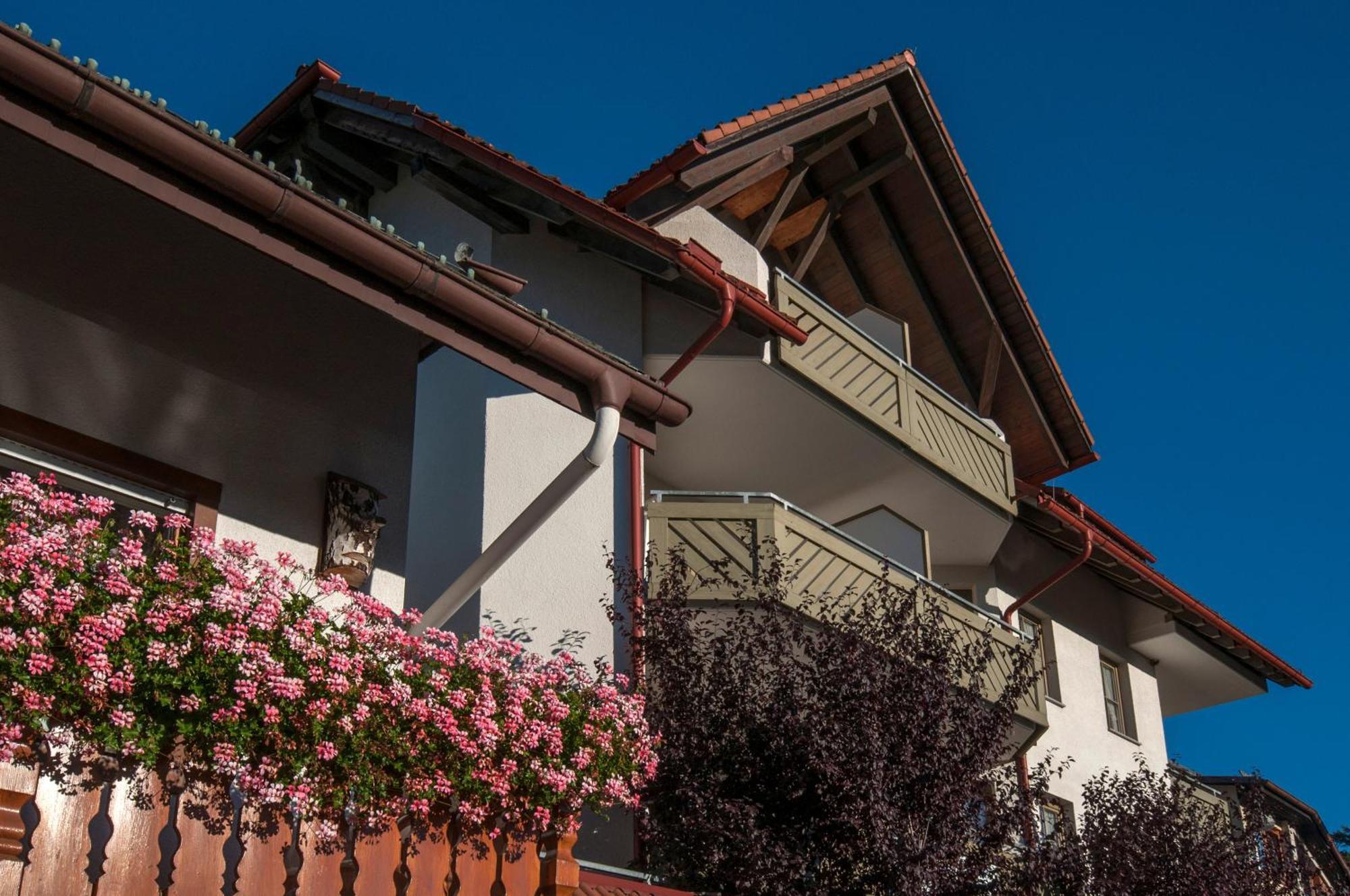 Apartment 03 - Ferienresidenz Roseneck, Mit Schwimmbad In Todtnauberg Bei Feldberg Kültér fotó
