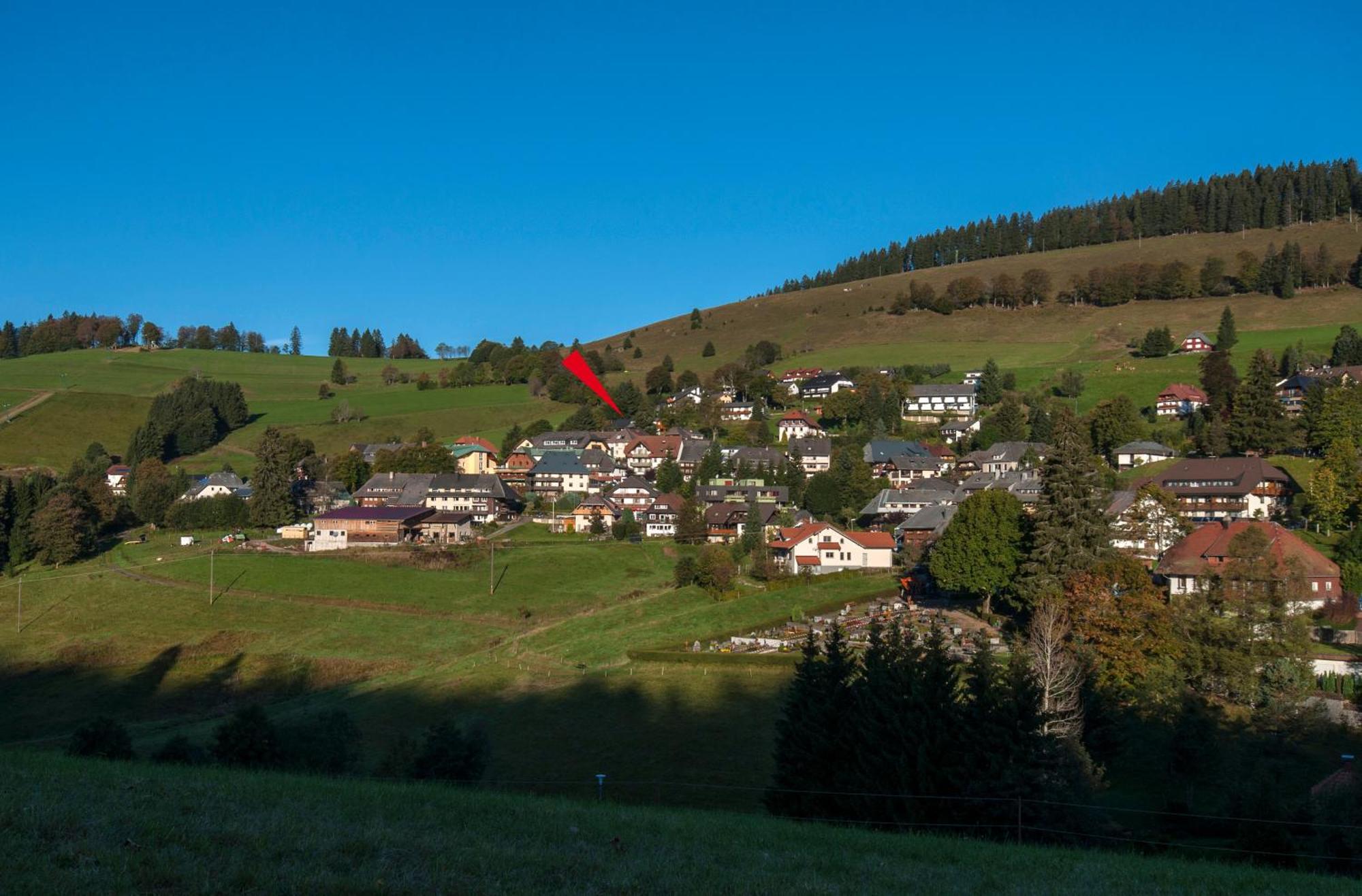Apartment 03 - Ferienresidenz Roseneck, Mit Schwimmbad In Todtnauberg Bei Feldberg Kültér fotó