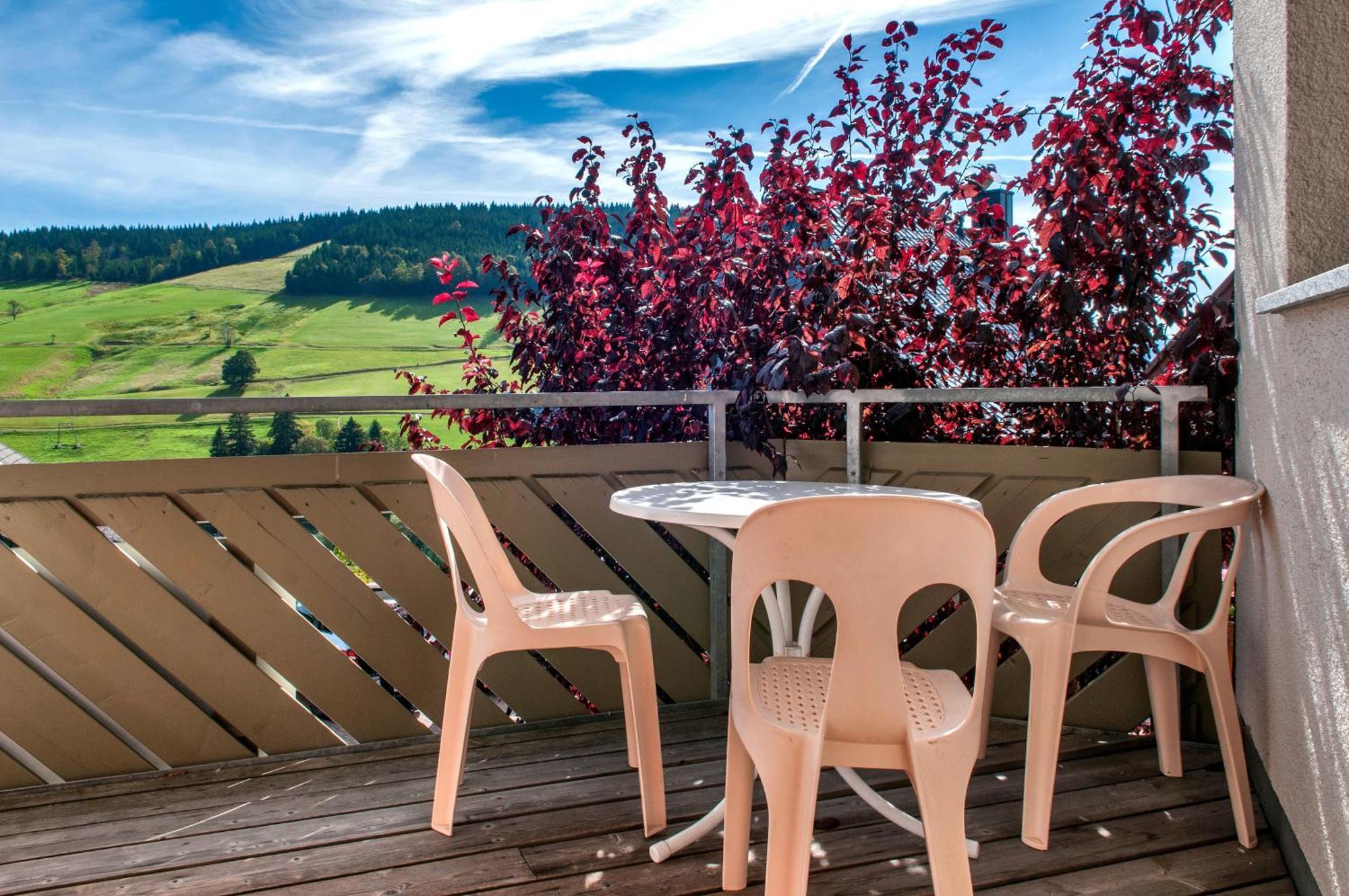 Apartment 03 - Ferienresidenz Roseneck, Mit Schwimmbad In Todtnauberg Bei Feldberg Kültér fotó